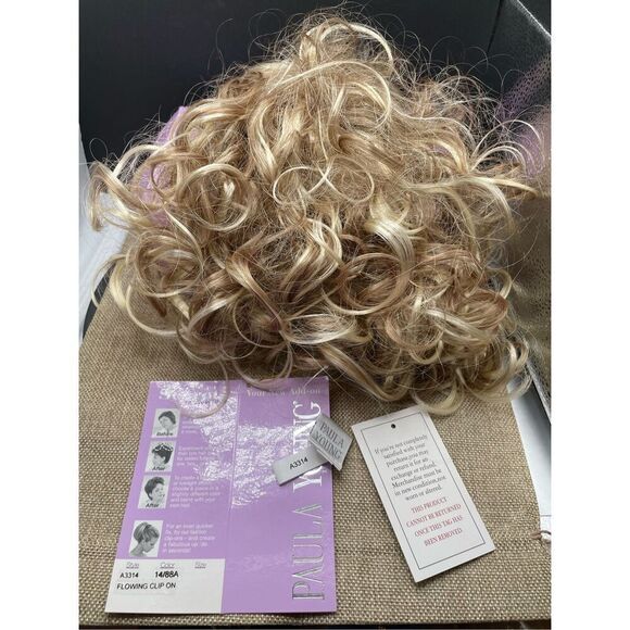 Paula Young A3314 14/88A FLOWING CLIP ON Hair - Picture 1 of 8
